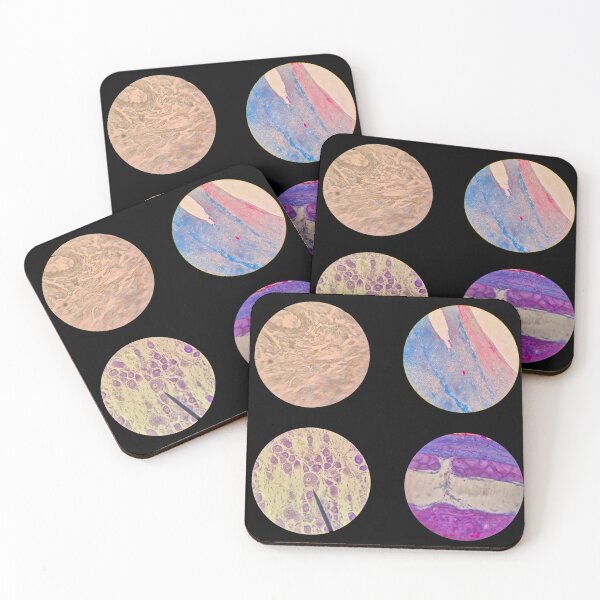 Item preview, Histology Set #4 – Connective Tissues & Neural Cells Microscope Slides designed and sold by Paws-e-whiskers.