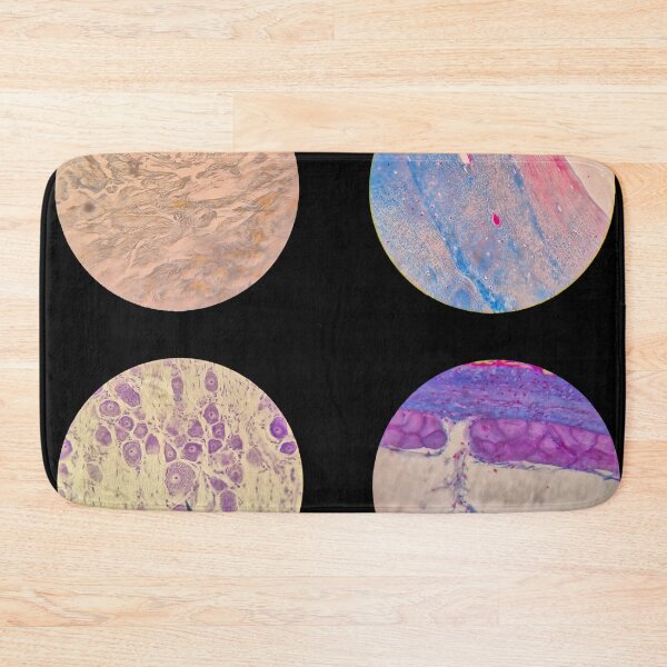 Item preview, Histology Set #4 – Connective Tissues & Neural Cells Microscope Slides designed and sold by Paws-e-whiskers.