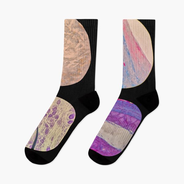 Item preview, Histology Set #4 – Connective Tissues & Neural Cells Microscope Slides designed and sold by Paws-e-whiskers.
