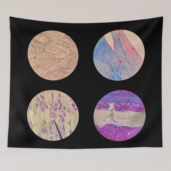 Item preview, Histology Set #4 – Connective Tissues & Neural Cells Microscope Slides designed and sold by Paws-e-whiskers.
