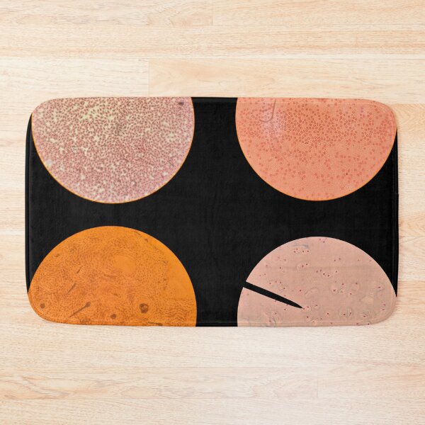 Item preview, Histology Set #5 – Blood Cells, Hyaline Cartilage & Compact Bone (Avian & Mammalian) Microscope Slides designed and sold by Paws-e-whiskers.