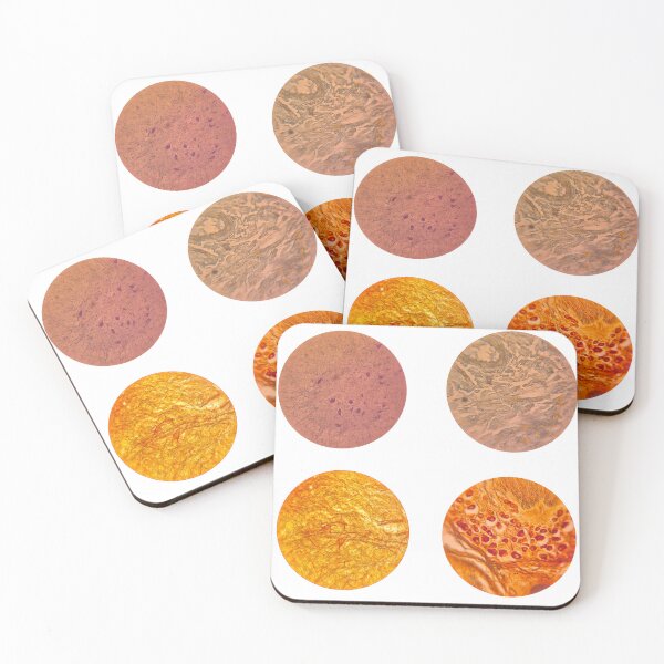 Item preview, Histology Set #6 – Multipolar & Pseudounipolar Neurons (Microscope Slides) designed and sold by Paws-e-whiskers.