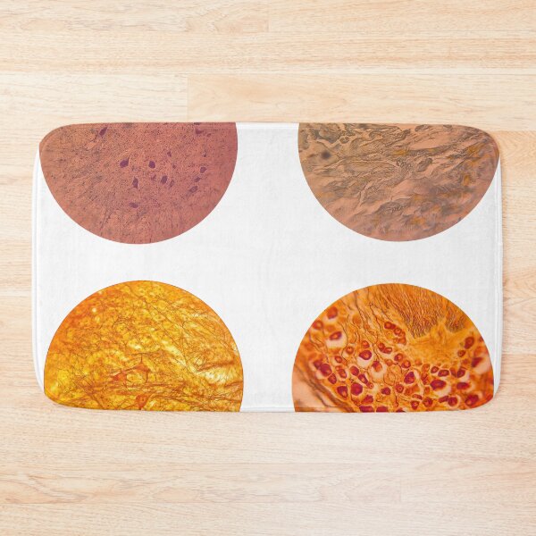 Item preview, Histology Set #6 – Multipolar & Pseudounipolar Neurons (Microscope Slides) designed and sold by Paws-e-whiskers.