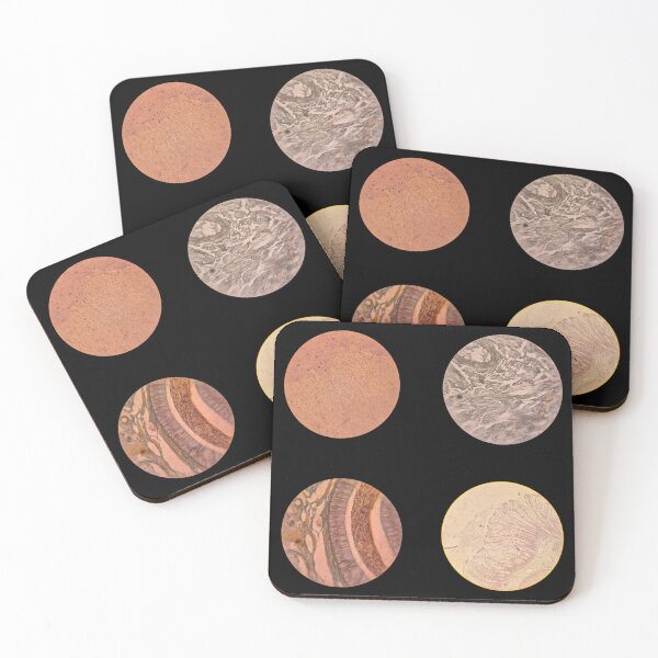 Item preview, Histology Set #8 – Brain, Retina, Connective Tissue & Cerebellum Microscope Slides designed and sold by Paws-e-whiskers.
