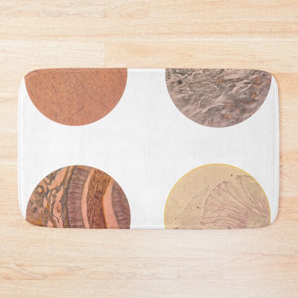 Item preview, Histology Set #8 – Brain, Retina, Connective Tissue & Cerebellum Microscope Slides designed and sold by Paws-e-whiskers.