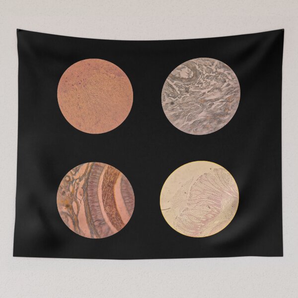 Item preview, Histology Set #8 – Brain, Retina, Connective Tissue & Cerebellum Microscope Slides designed and sold by Paws-e-whiskers.