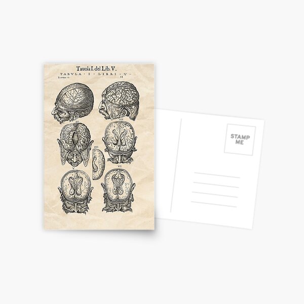 Item preview, Vintage anatomy illustration #31 designed and sold by PixelBlissART.