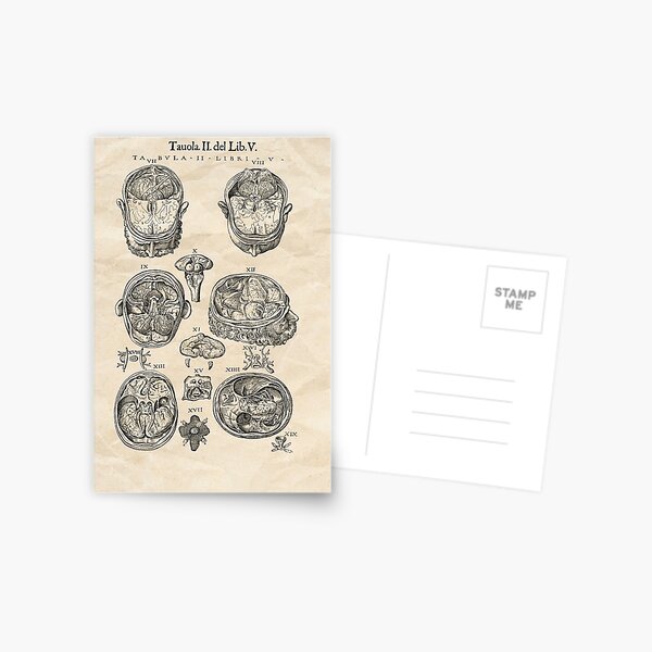 Item preview, Vintage anatomy illustration #32 designed and sold by PixelBlissART.