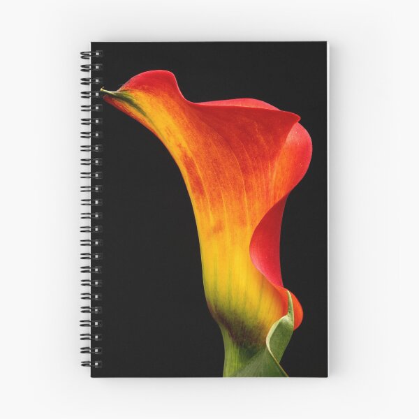 Item preview, Calla Lily - Homage to Georgia designed and sold by Roger Easley.
