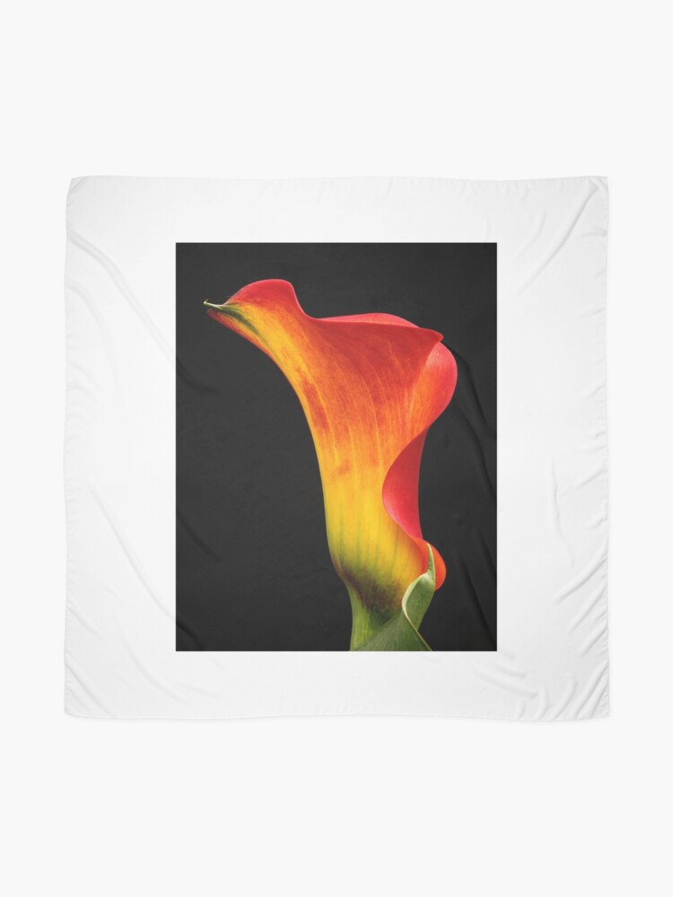 Calla Lily Homage to Georgia Scarf