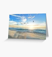 Sunny peaceful beach with birds flying on white sand Greeting Card