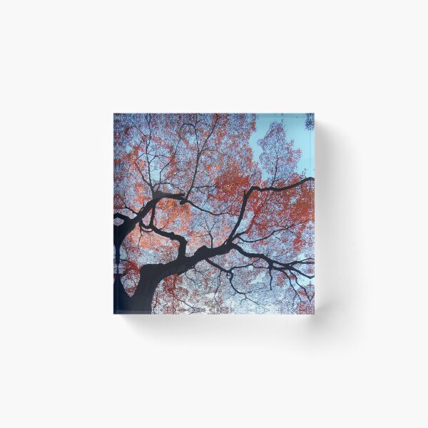 Item preview, Japanese Garden Red Autumn Leaves designed and sold by TalBright.