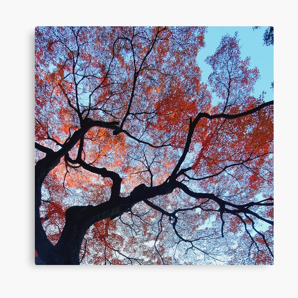Item preview, Japanese Garden Red Autumn Leaves designed and sold by TalBright.