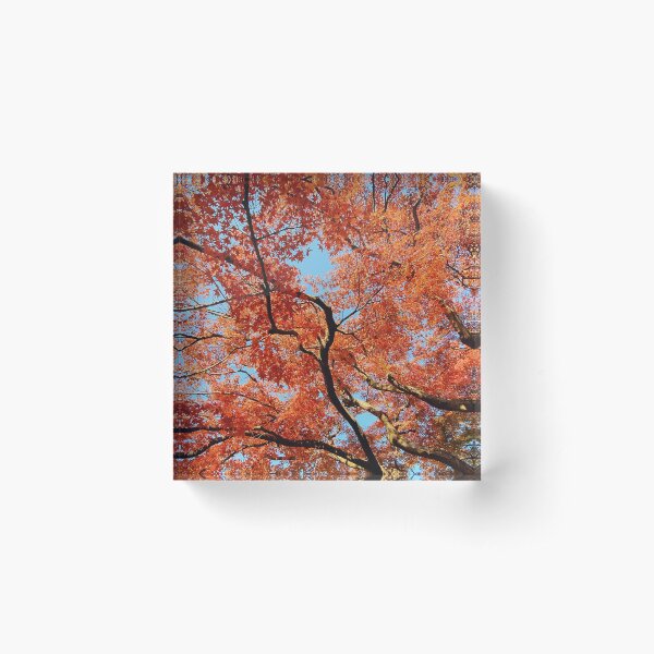 Item preview, Japanese Garden Red Autumn Leaves Fall Foliage in Japan designed and sold by TalBright.