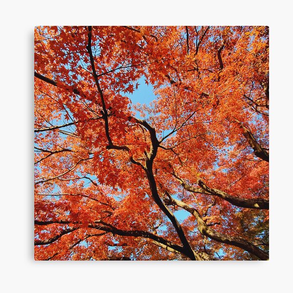 Item preview, Japanese Garden Red Autumn Leaves Fall Foliage in Japan designed and sold by TalBright.