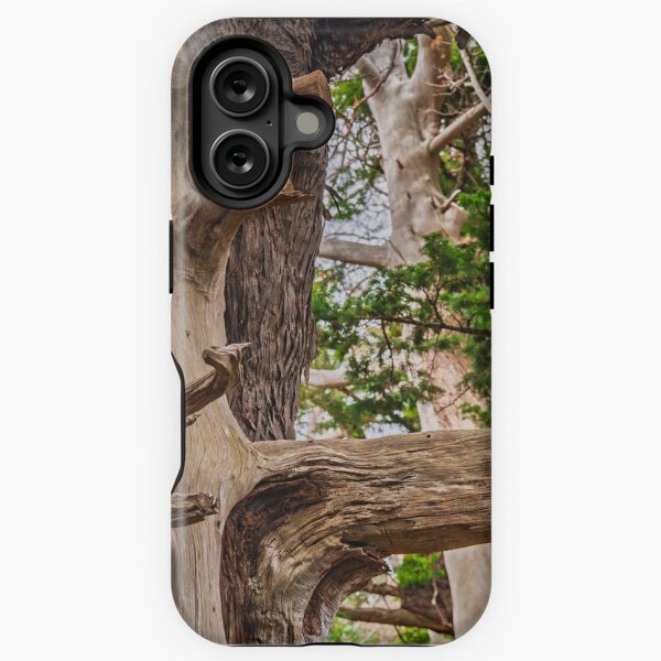 Item preview, Canopy of Ancient Junipers of Cape Osezaki, Japan designed and sold by Pix4Japan.