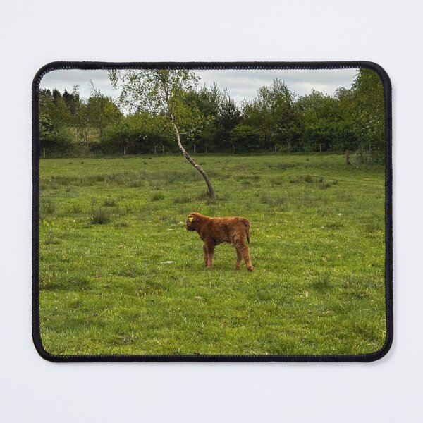 Item preview, Little cute carf in the green field designed and sold by Colourful Wonderful.