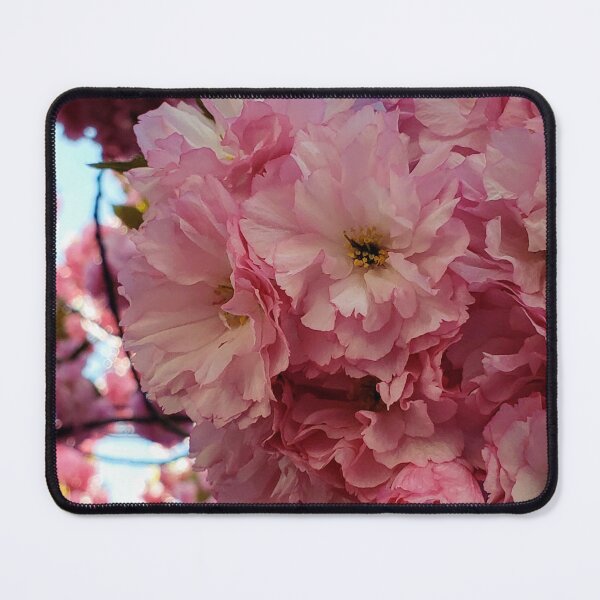 Item preview, Cherry Blossoms in Full Bloom – Spring Photography at Fairleigh Dickinson University designed and sold by thistledewcraft.