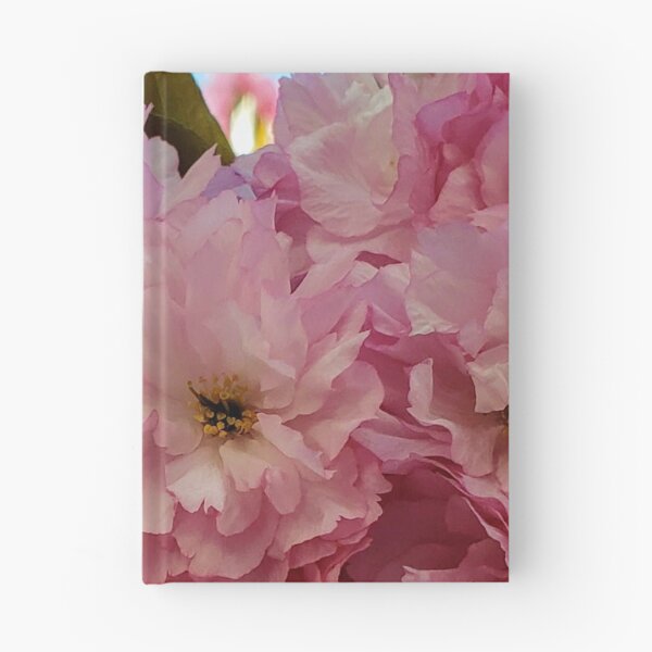 Item preview, Cherry Blossoms in Full Bloom – Spring Photography at Fairleigh Dickinson University designed and sold by thistledewcraft.