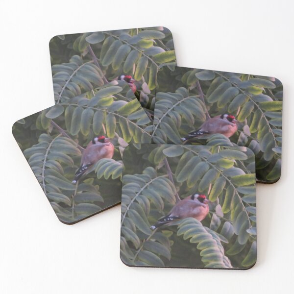Item preview, European Goldfinch in Evening Light – Nature Photography designed and sold by Reverso Premium.