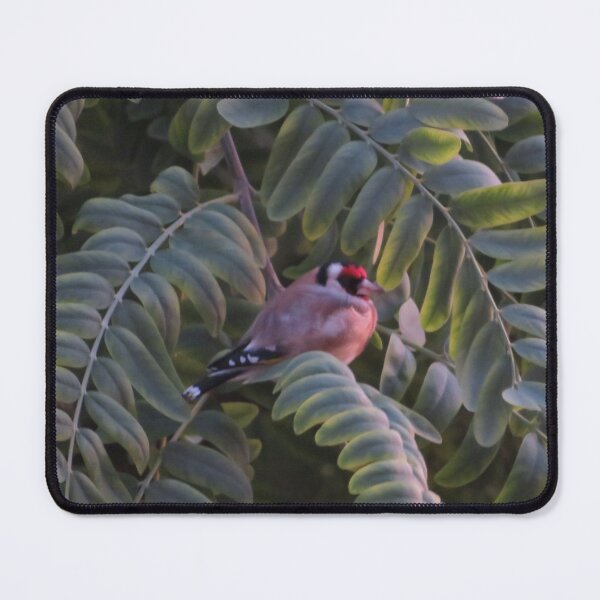 Item preview, European Goldfinch in Evening Light – Nature Photography designed and sold by Reverso Premium.