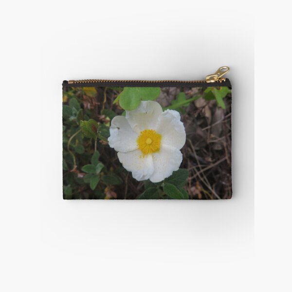 Item preview, Wild White Rockrose Flower (Cistus Albidus) in Spring Bloom designed and sold by Reverso Premium.