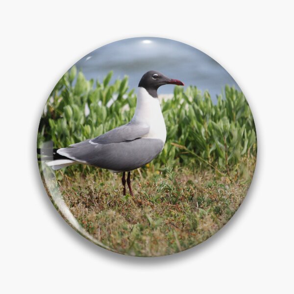 Item preview, Pretty Seagull designed and sold by Cynthia48.