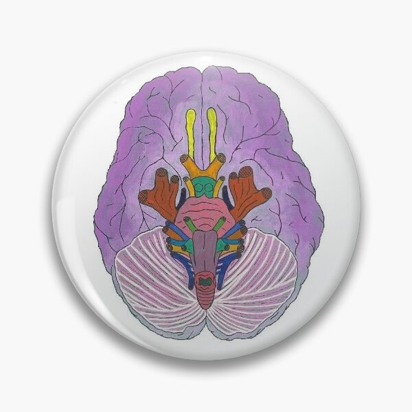 Item preview, Anterior brain designed and sold by Bugbotherer30.