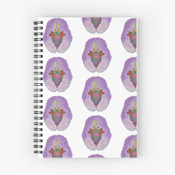 Item preview, Anterior brain designed and sold by Bugbotherer30.