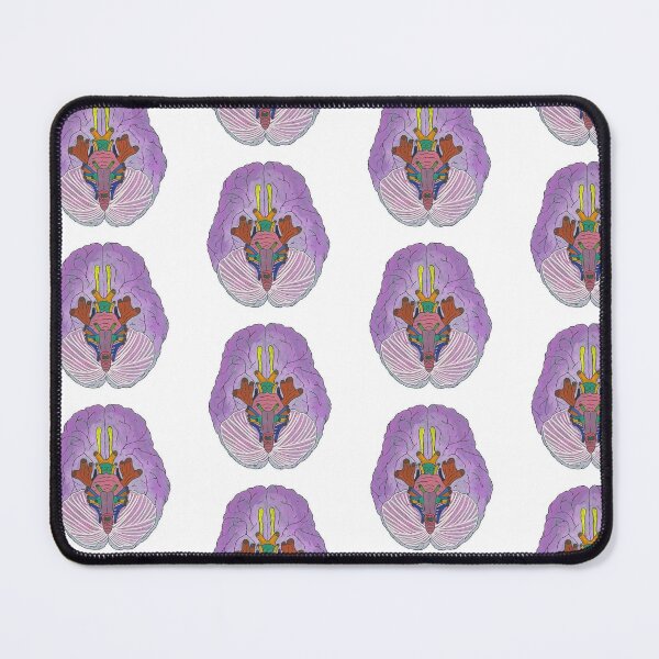 Item preview, Anterior brain designed and sold by Bugbotherer30.