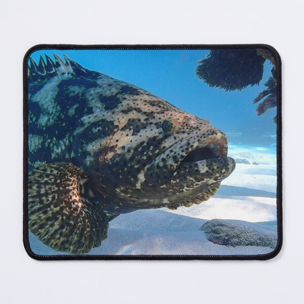 Item preview, Goliath Grouper designed and sold by SeeThemClearly.