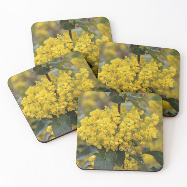 Item preview, Art by Mike Photography Photo Botany Flowers Nature Photography Leaves designed and sold by allartbymike.