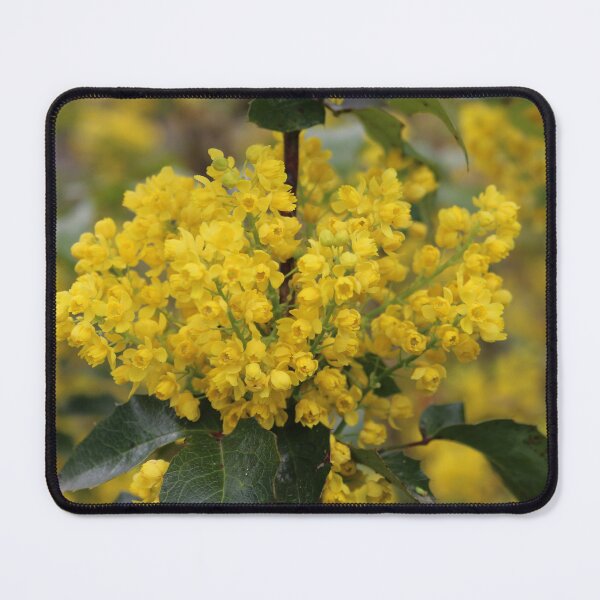 Item preview, Art by Mike Photography Photo Botany Flowers Nature Photography Leaves designed and sold by allartbymike.