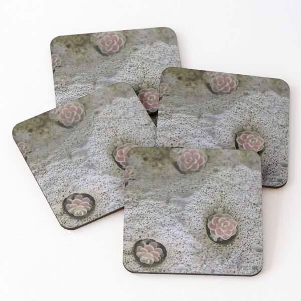 Item preview, Art by Mike Photography Photo Stone with mosses and lichens, weathered designed and sold by allartbymike.