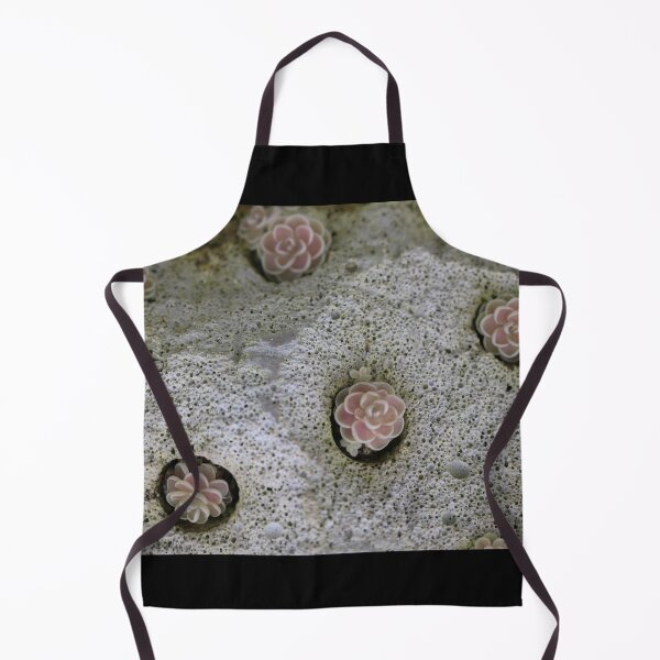 Item preview, Art by Mike Photography Photo Stone with mosses and lichens, weathered designed and sold by allartbymike.