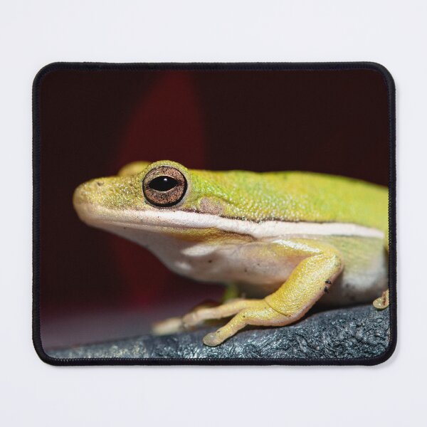 Item preview, American Green Treefrog designed and sold by SeeThemClearly.