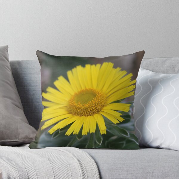 Item preview, Art by Mike Photography Photo Botany Flowers Nature Photography Leaves designed and sold by allartbymike.