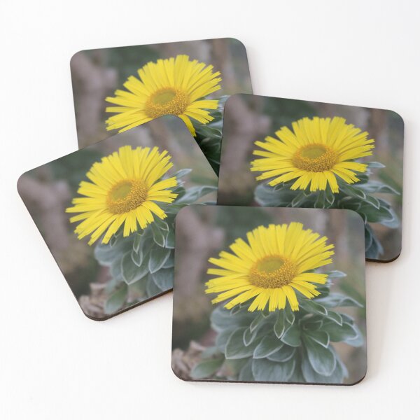 Item preview, Art by Mike Photography Photo Botany Flowers Nature Photography Leaves designed and sold by allartbymike.