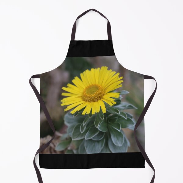 Item preview, Art by Mike Photography Photo Botany Flowers Nature Photography Leaves designed and sold by allartbymike.