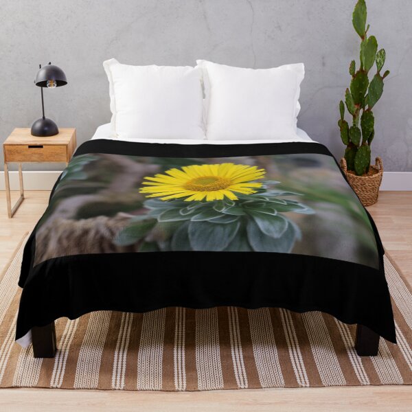 Item preview, Art by Mike Photography Photo Botany Flowers Nature Photography Leaves designed and sold by allartbymike.