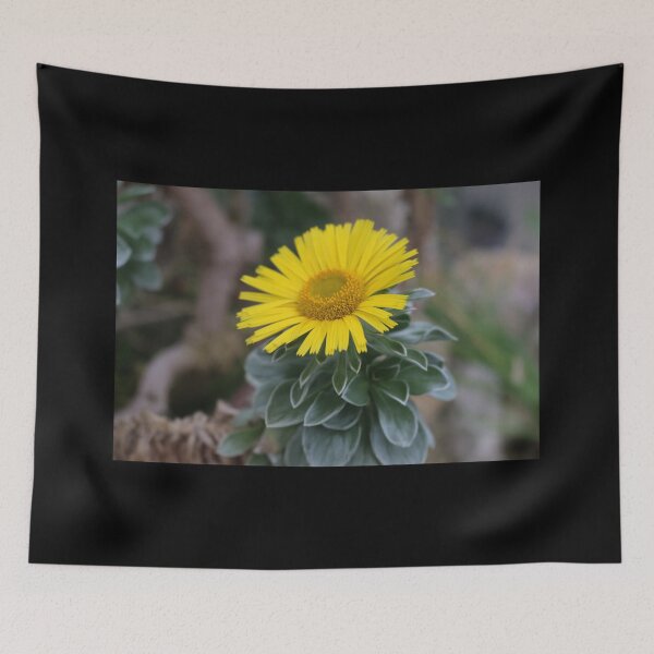 Item preview, Art by Mike Photography Photo Botany Flowers Nature Photography Leaves designed and sold by allartbymike.