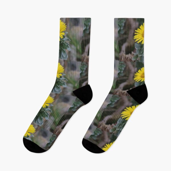 Item preview, Art by Mike Photography Photo Botany Flowers Nature Photography Leaves designed and sold by allartbymike.
