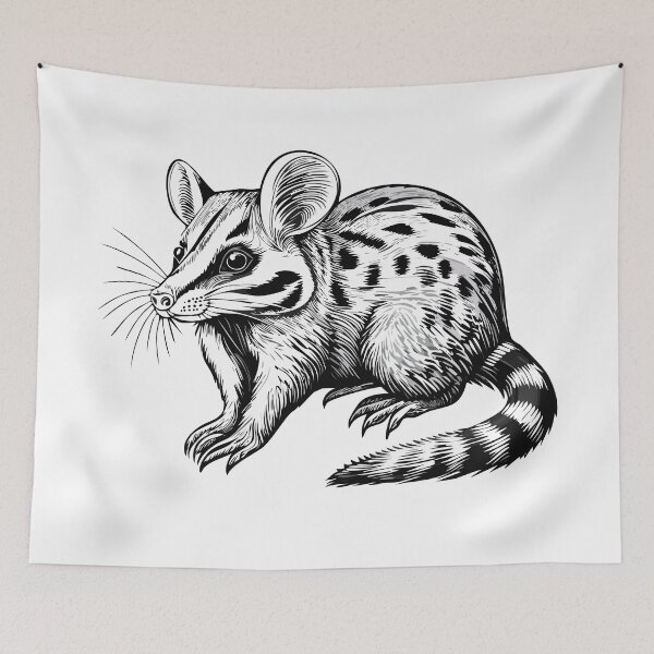 Item preview, Black and white Australian Tiger quoll are carnivorous marsupials native to Australia and New Guinea (Dasyurus maculatus) spotted-tailed quoll, spotted quoll, spotted-tailed dasyure or tiger cat designed and sold by Danler.