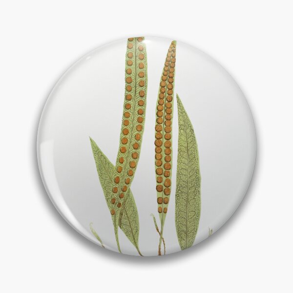 Item preview, Fern Botanical designed and sold by BlueSpecsStudio.