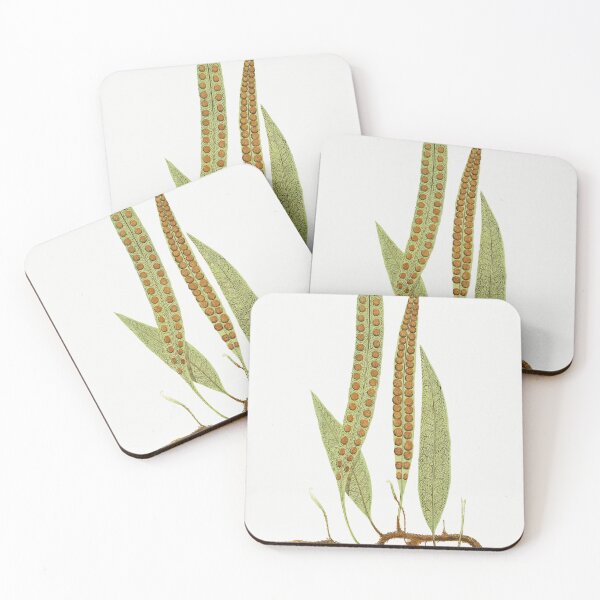 Item preview, Fern Botanical designed and sold by BlueSpecsStudio.