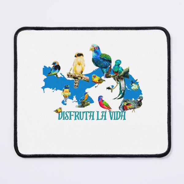 Item preview, Panama Birding Enjoy Life Paintings by Alvaro Miranda designed and sold by Alvaro-Miranda.