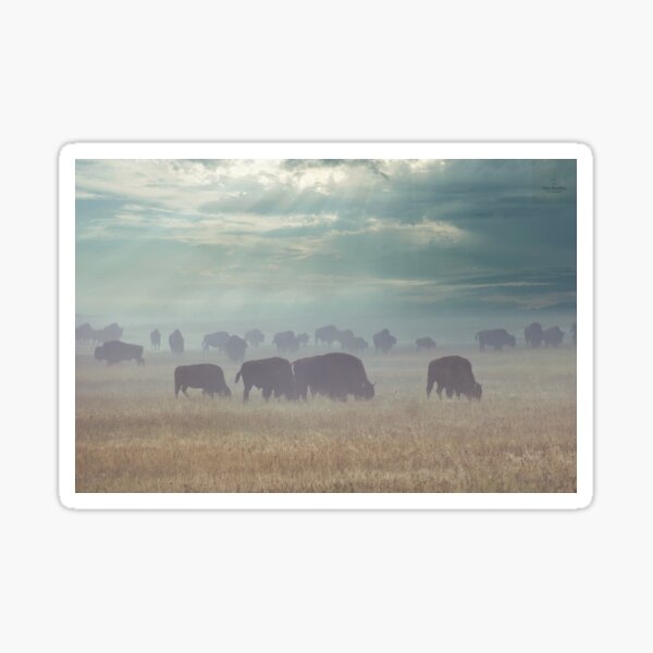 Item preview, Yellowstone Sunrise designed and sold by The Neo Buddha Photography.