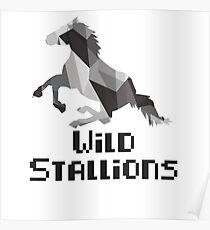 Wild Stallions Poster