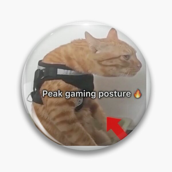 Item preview, Peak gaming posture designed and sold by cocksnot.