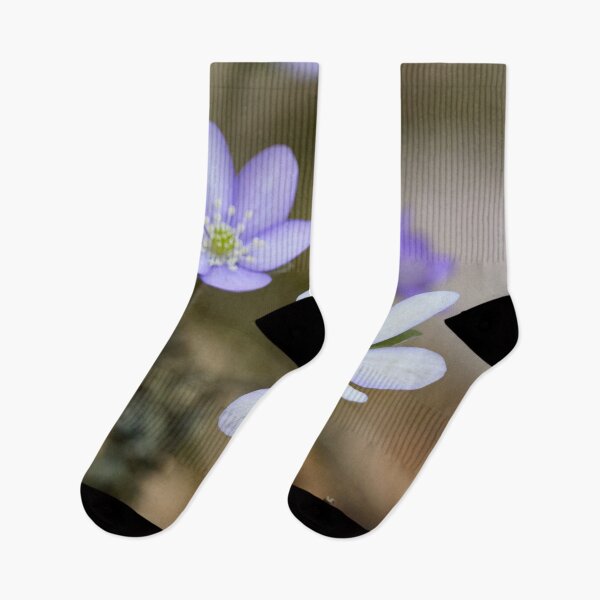 Item preview, White and light purple Hepatica designed and sold by Jouko Lehto Photography.